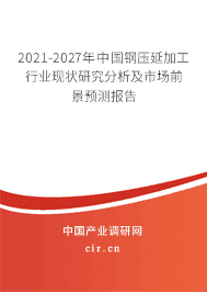 2021-2027年钢压延加工行业现状研究分析及市场前景预测报告